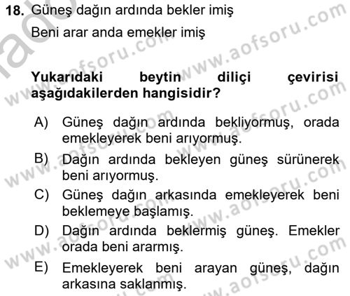 XIX. Yüzyıl Türk Edebiyatı Dersi 2018 - 2019 Yılı Yaz Okulu Sınav Soruları 18. Soru