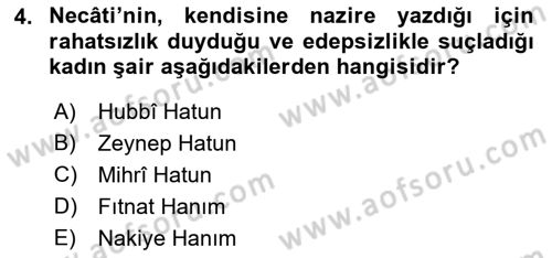 XIX. Yüzyıl Türk Edebiyatı Dersi 2018 - 2019 Yılı Yaz Okulu Sınav Soruları 4. Soru