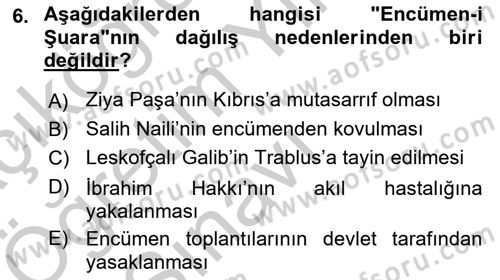XIX. Yüzyıl Türk Edebiyatı Dersi 2018 - 2019 Yılı Yaz Okulu Sınav Soruları 6. Soru