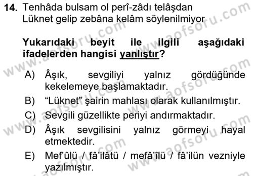 XIX. Yüzyıl Türk Edebiyatı Dersi 2021 - 2022 Yılı (Final) Dönem Sonu Sınav Soruları 14. Soru
