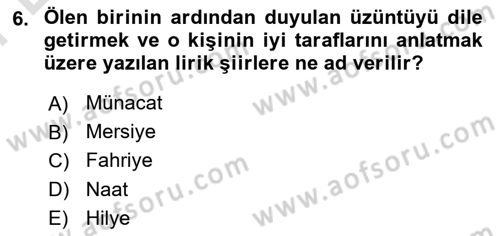 XIX. Yüzyıl Türk Edebiyatı Dersi 2021 - 2022 Yılı (Final) Dönem Sonu Sınav Soruları 6. Soru