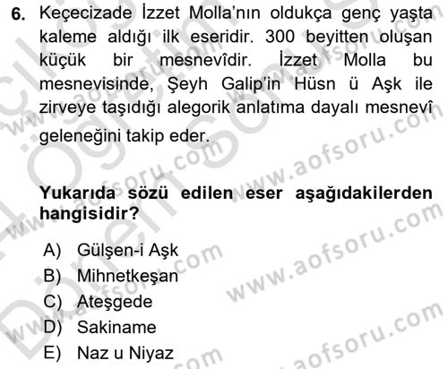 XIX. Yüzyıl Türk Edebiyatı Dersi 2023 - 2024 Yılı (Final) Dönem Sonu Sınav Soruları 6. Soru