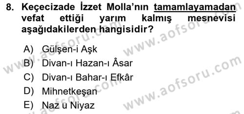 XIX. Yüzyıl Türk Edebiyatı Dersi 2023 - 2024 Yılı (Final) Dönem Sonu Sınav Soruları 8. Soru