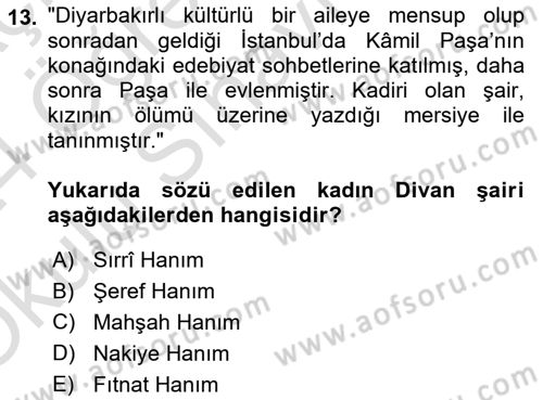 XIX. Yüzyıl Türk Edebiyatı Dersi 2023 - 2024 Yılı Yaz Okulu Sınav Soruları 13. Soru