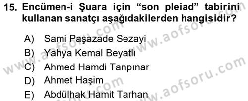 XIX. Yüzyıl Türk Edebiyatı Dersi 2023 - 2024 Yılı Yaz Okulu Sınav Soruları 15. Soru
