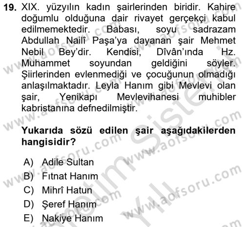 XIX. Yüzyıl Türk Edebiyatı Dersi 2023 - 2024 Yılı Yaz Okulu Sınav Soruları 19. Soru
