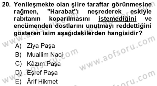 XIX. Yüzyıl Türk Edebiyatı Dersi 2023 - 2024 Yılı Yaz Okulu Sınav Soruları 20. Soru