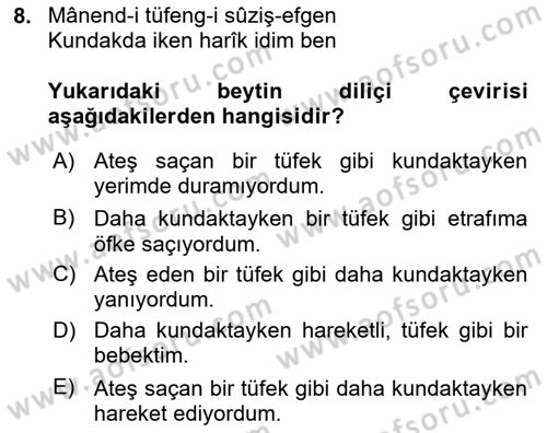 XIX. Yüzyıl Türk Edebiyatı Dersi 2023 - 2024 Yılı Yaz Okulu Sınav Soruları 8. Soru