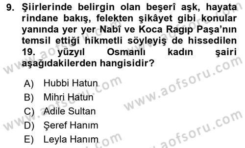 XIX. Yüzyıl Türk Edebiyatı Dersi 2023 - 2024 Yılı Yaz Okulu Sınav Soruları 9. Soru