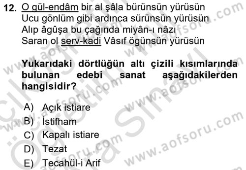 XIX. Yüzyıl Türk Edebiyatı Dersi 2024 - 2025 Yılı (Vize) Ara Sınav Soruları 12. Soru