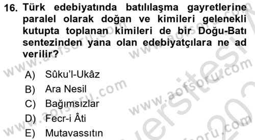 XIX. Yüzyıl Türk Edebiyatı Dersi 2024 - 2025 Yılı (Vize) Ara Sınav Soruları 16. Soru