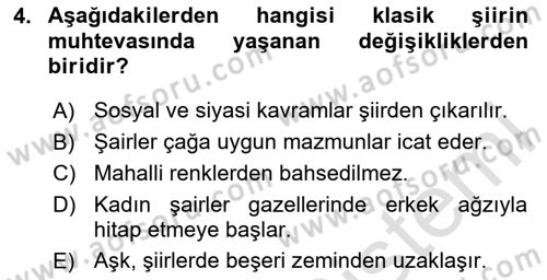 XIX. Yüzyıl Türk Edebiyatı Dersi 2024 - 2025 Yılı (Vize) Ara Sınav Soruları 4. Soru