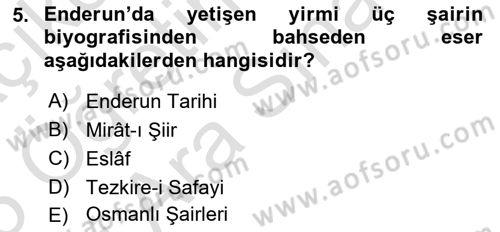 XIX. Yüzyıl Türk Edebiyatı Dersi 2024 - 2025 Yılı (Vize) Ara Sınav Soruları 5. Soru