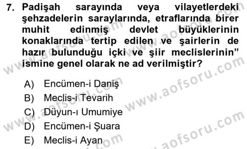 XIX. Yüzyıl Türk Edebiyatı Dersi 2024 - 2025 Yılı (Vize) Ara Sınav Soruları 7. Soru