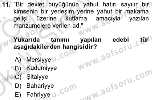 XIX. Yüzyıl Türk Edebiyatı Dersi 2024 - 2025 Yılı Yaz Okulu Sınav Soruları 11. Soru