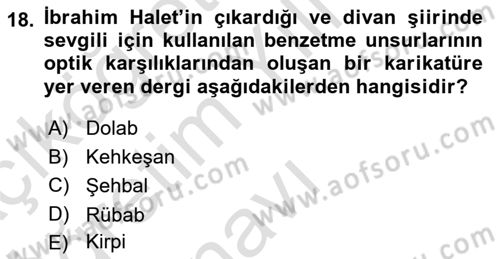 XIX. Yüzyıl Türk Edebiyatı Dersi 2024 - 2025 Yılı Yaz Okulu Sınav Soruları 18. Soru