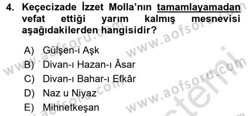 XIX. Yüzyıl Türk Edebiyatı Dersi 2024 - 2025 Yılı Yaz Okulu Sınav Soruları 4. Soru