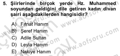 XIX. Yüzyıl Türk Edebiyatı Dersi 2024 - 2025 Yılı Yaz Okulu Sınav Soruları 5. Soru