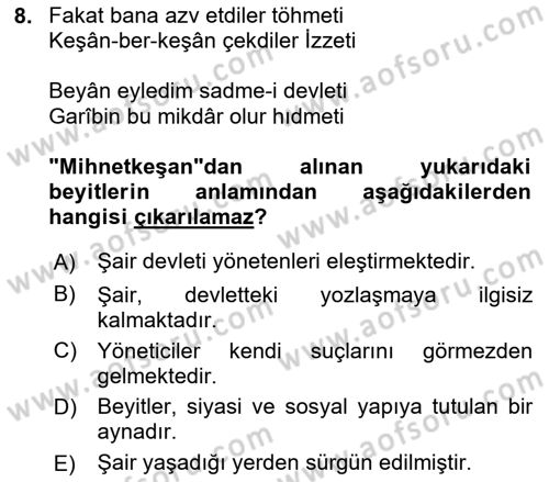 XIX. Yüzyıl Türk Edebiyatı Dersi 2024 - 2025 Yılı Yaz Okulu Sınav Soruları 8. Soru