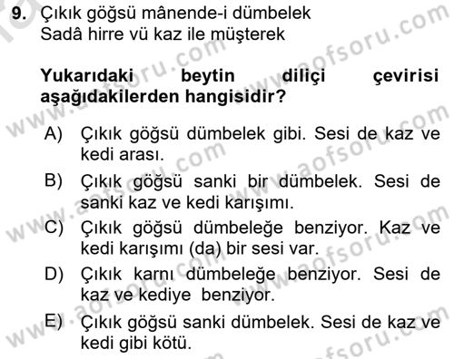 XIX. Yüzyıl Türk Edebiyatı Dersi 2024 - 2025 Yılı Yaz Okulu Sınav Soruları 9. Soru