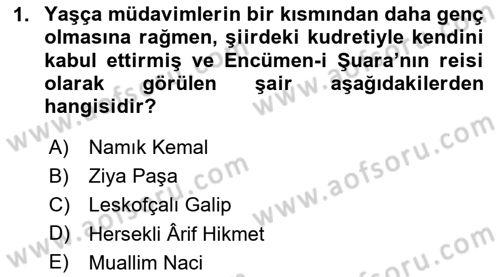 XIX. Yüzyıl Türk Edebiyatı Dersi 2025 - 2026 Yılı (Vize) Ara Sınav Soruları 1. Soru