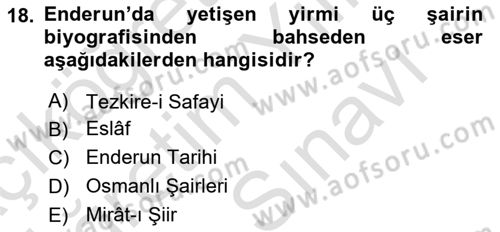 XIX. Yüzyıl Türk Edebiyatı Dersi 2025 - 2026 Yılı (Vize) Ara Sınav Soruları 18. Soru