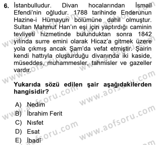 XIX. Yüzyıl Türk Edebiyatı Dersi 2025 - 2026 Yılı (Vize) Ara Sınav Soruları 6. Soru