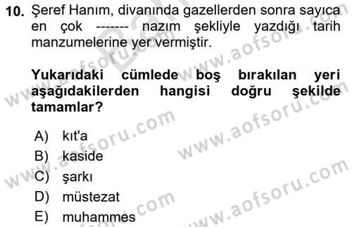 XIX. Yüzyıl Türk Edebiyatı Dersi 2025 - 2026 Yılı (Final) Dönem Sonu Sınav Soruları 10. Soru