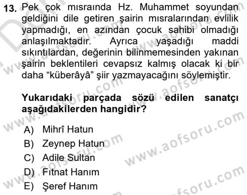 XIX. Yüzyıl Türk Edebiyatı Dersi 2025 - 2026 Yılı (Final) Dönem Sonu Sınav Soruları 13. Soru
