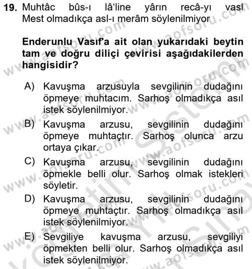 XIX. Yüzyıl Türk Edebiyatı Dersi 2025 - 2026 Yılı (Final) Dönem Sonu Sınav Soruları 19. Soru