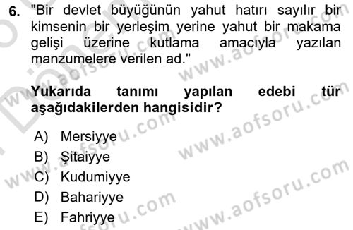 XIX. Yüzyıl Türk Edebiyatı Dersi 2025 - 2026 Yılı (Final) Dönem Sonu Sınav Soruları 6. Soru