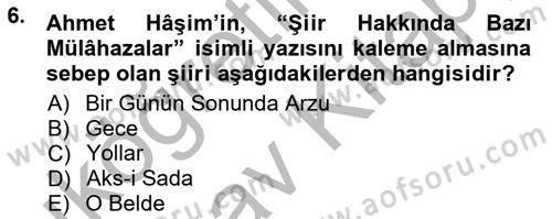 Cumhuriyet Dönemi Türk Şiiri Dersi 2012 - 2013 Yılı (Vize) Ara Sınav Soruları 6. Soru