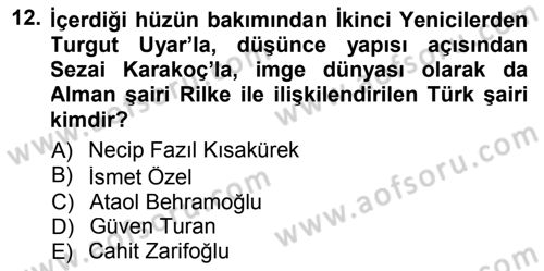 Cumhuriyet Dönemi Türk Şiiri Dersi 2012 - 2013 Yılı (Final) Dönem Sonu Sınav Soruları 12. Soru