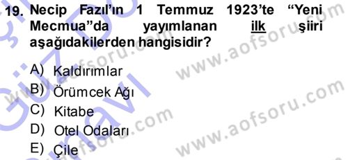 Cumhuriyet Dönemi Türk Şiiri Dersi Ara Sınavı Deneme Sınav Soruları 19. Soru