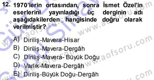 Cumhuriyet Dönemi Türk Şiiri Dersi 2013 - 2014 Yılı (Final) Dönem Sonu Sınav Soruları 12. Soru