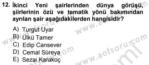 Cumhuriyet Dönemi Türk Şiiri Dersi 2013 - 2014 Yılı Tek Ders Sınav Soruları 12. Soru