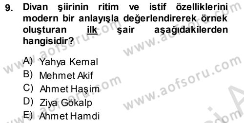 Cumhuriyet Dönemi Türk Şiiri Dersi 2013 - 2014 Yılı Tek Ders Sınav Soruları 9. Soru