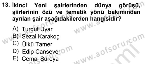 Cumhuriyet Dönemi Türk Şiiri Dersi 2014 - 2015 Yılı Tek Ders Sınav Soruları 13. Soru