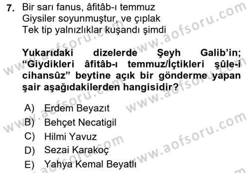 Cumhuriyet Dönemi Türk Şiiri Dersi 2015 - 2016 Yılı (Final) Dönem Sonu Sınav Soruları 7. Soru