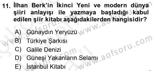Cumhuriyet Dönemi Türk Şiiri Dersi 2015 - 2016 Yılı Tek Ders Sınav Soruları 11. Soru