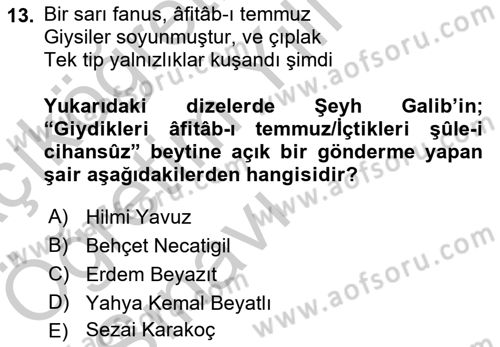 Cumhuriyet Dönemi Türk Şiiri Dersi 2016 - 2017 Yılı 3 Ders Sınav Soruları 13. Soru
