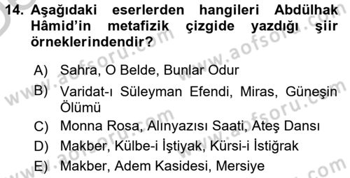 Cumhuriyet Dönemi Türk Şiiri Dersi 2016 - 2017 Yılı 3 Ders Sınav Soruları 14. Soru