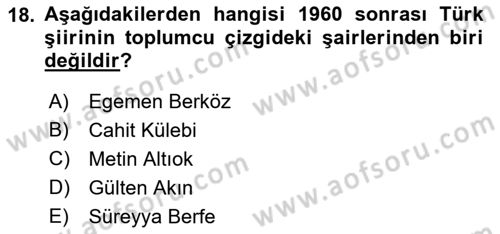 Cumhuriyet Dönemi Türk Şiiri Dersi 2016 - 2017 Yılı 3 Ders Sınav Soruları 18. Soru