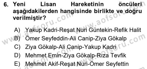 Cumhuriyet Dönemi Türk Şiiri Dersi 2016 - 2017 Yılı (Vize) Ara Sınav Soruları 6. Soru