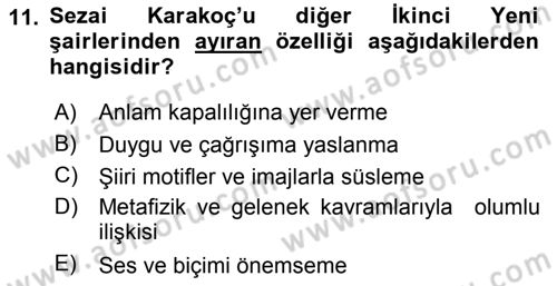 Cumhuriyet Dönemi Türk Şiiri Dersi 2017 - 2018 Yılı 3 Ders Sınav Soruları 11. Soru