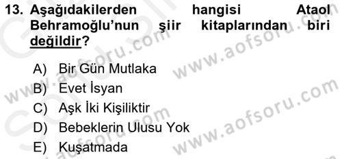 Cumhuriyet Dönemi Türk Şiiri Dersi 2017 - 2018 Yılı (Final) Dönem Sonu Sınav Soruları 13. Soru