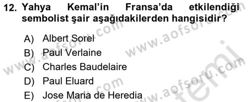 Cumhuriyet Dönemi Türk Şiiri Dersi 2018 - 2019 Yılı 3 Ders Sınav Soruları 12. Soru