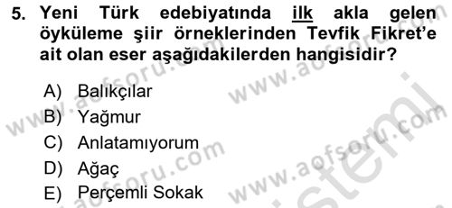 Cumhuriyet Dönemi Türk Şiiri Dersi 2018 - 2019 Yılı 3 Ders Sınav Soruları 5. Soru