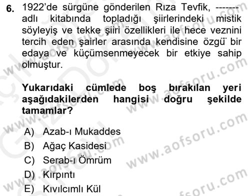 Cumhuriyet Dönemi Türk Şiiri Dersi Ara Sınavı Deneme Sınav Soruları 6. Soru