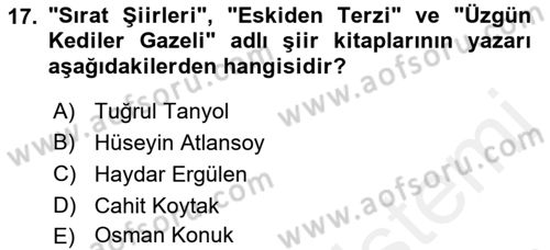 Cumhuriyet Dönemi Türk Şiiri Dersi 2018 - 2019 Yılı (Final) Dönem Sonu Sınavı 17. Soru